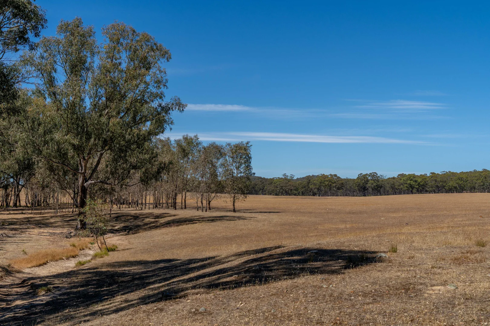 Additional image 11 of Lot/33 Delaney Road, Mitchellstown VIC 3608