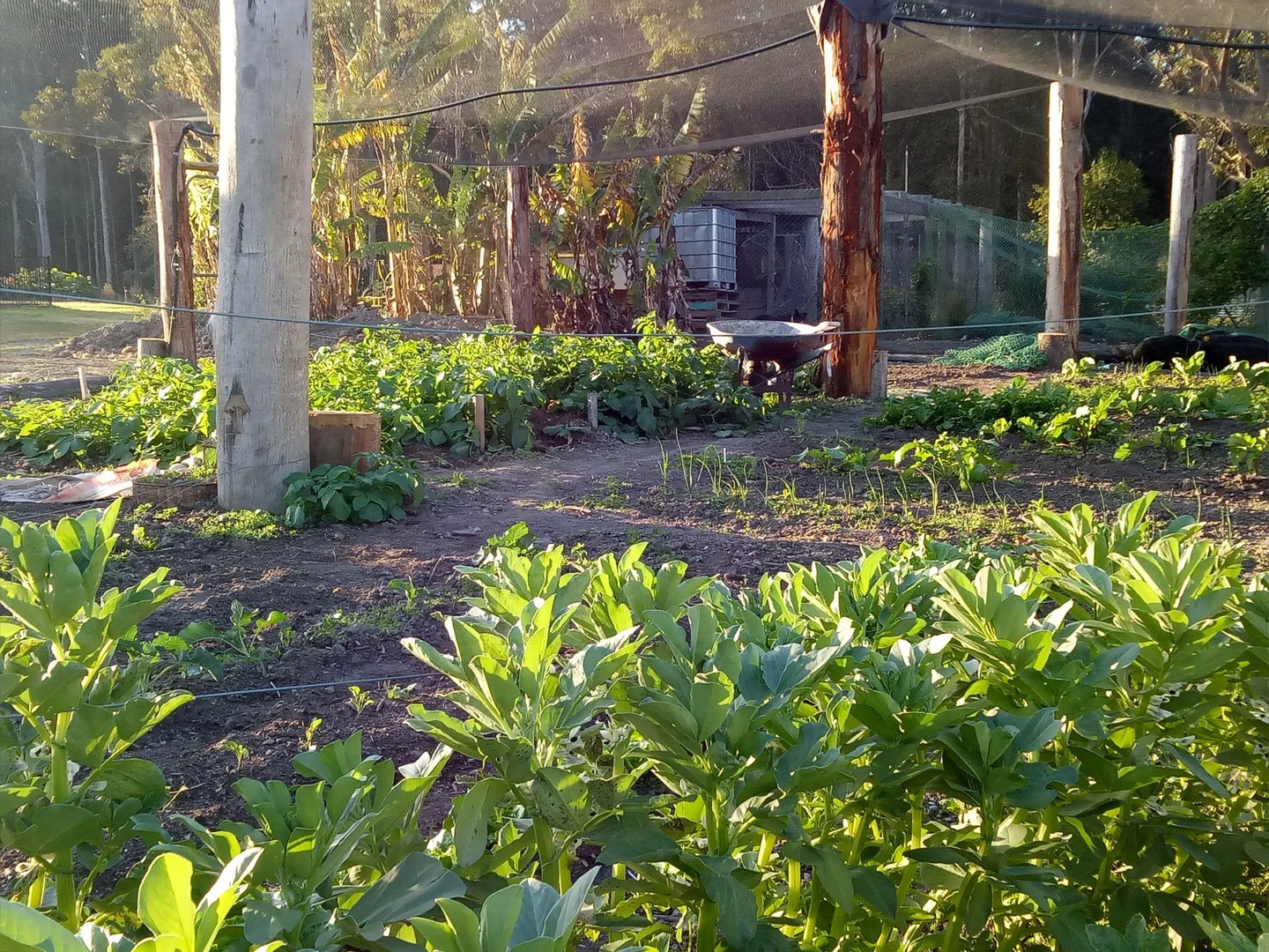 Additional image 23 of 20 Squires Hill Rd, Boolambayte NSW 2423