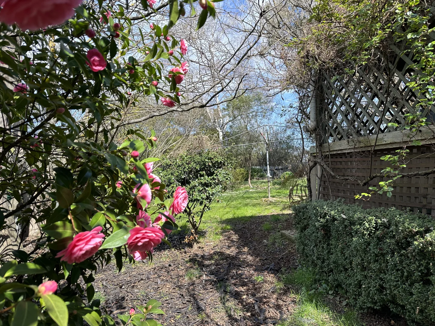 Additional image 11 of 68 Clara Street, Tumbarumba NSW 2653