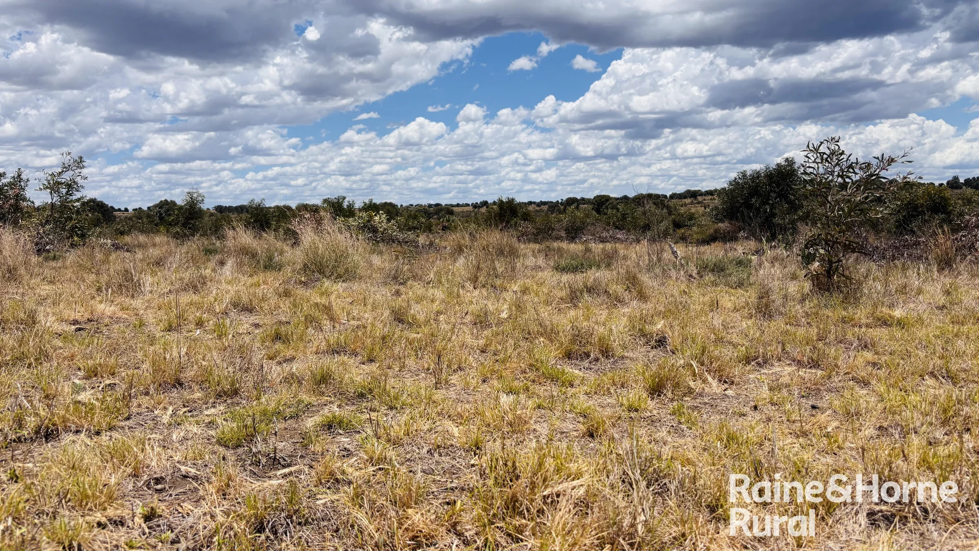 Additional image 17 of 330 Burrow Downs Road, Injune QLD 4454