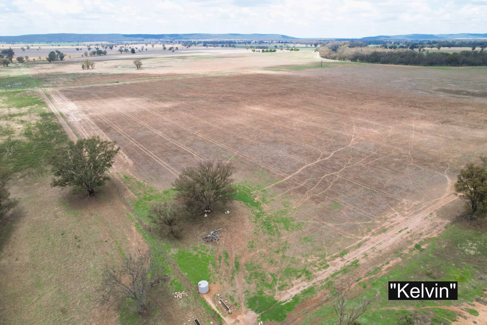 Additional image 7 of 01 Bedgerabong Road, Forbes NSW 2871