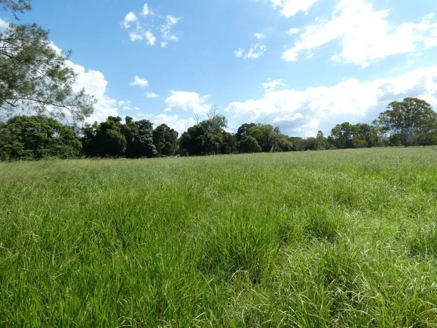 Additional image 30 of 1097 Blackman Gap Road, Colosseum QLD 4677