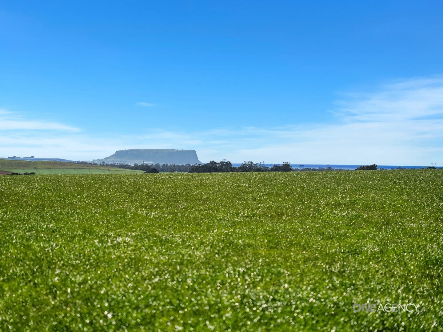 Additional image 8 of 206 Murrays Lane, South Forest TAS 7330