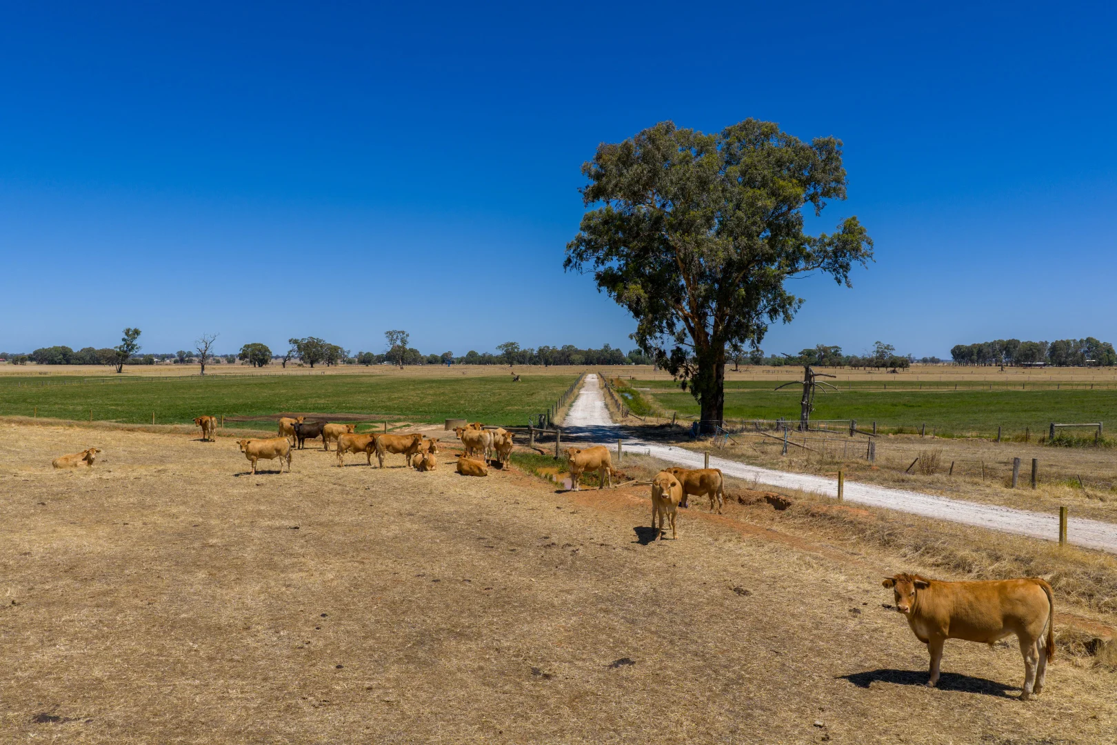 Additional image 3 of 2930 McEwen Road, Stanhope VIC 3623