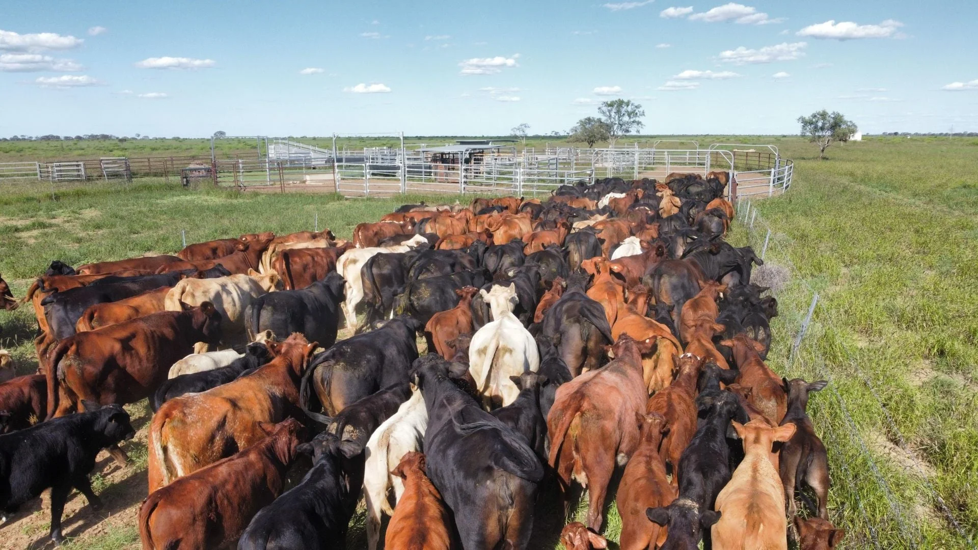 Additional image 9 of 1970 Saltern Creek Road, Barcaldine QLD 4725