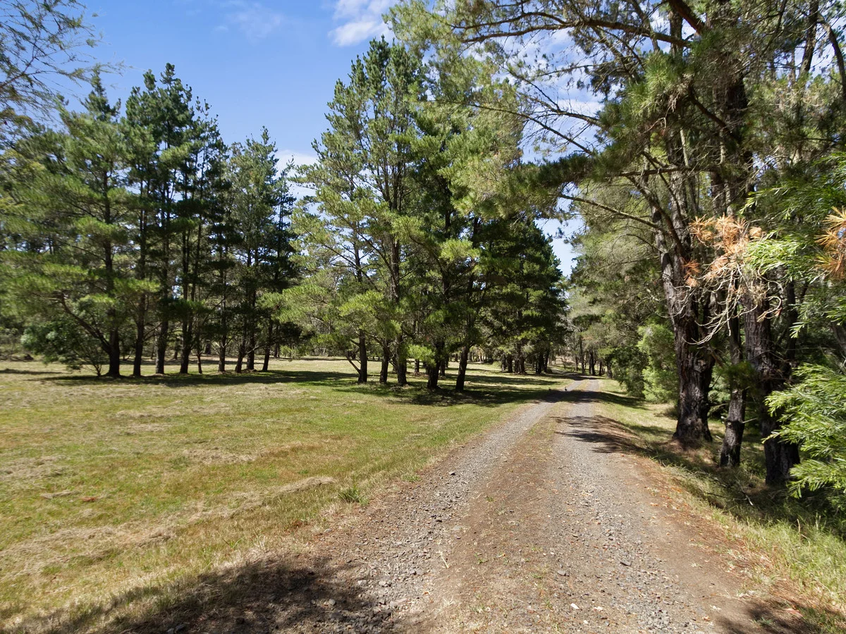 Additional image 21 of 12 Almeda Drive, Coongulla VIC 3860