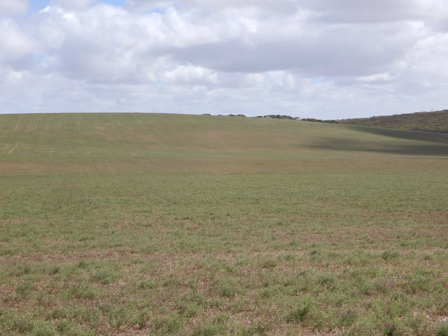 Additional image 2 of 33 Lutze Road, Coonalpyn SA 5265