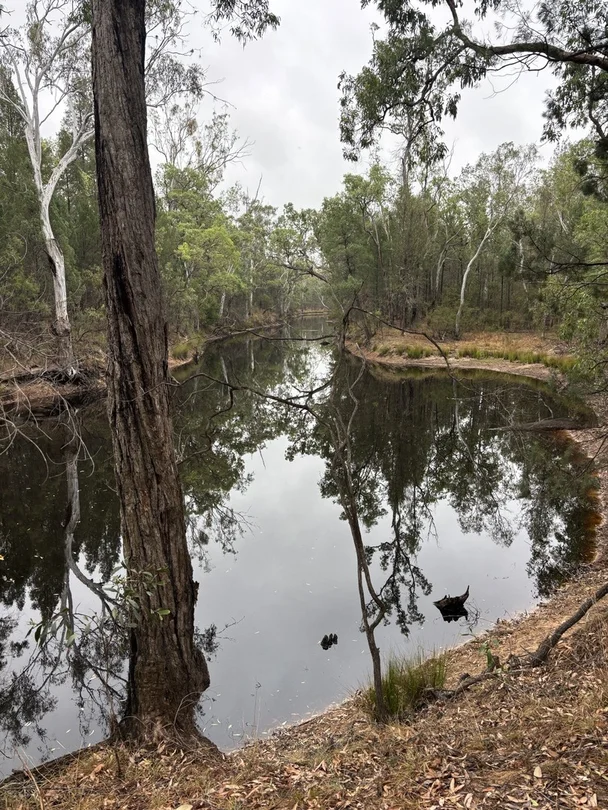 250 Round Mountain Rd, Burra Burri QLD 4410