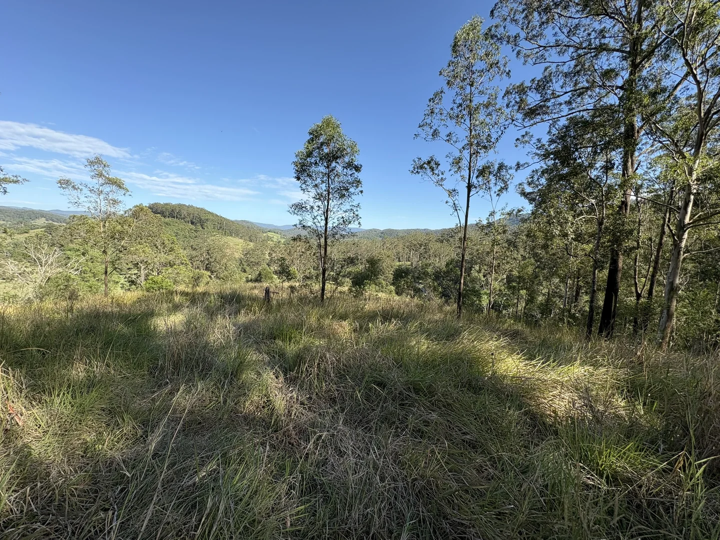 Additional image 6 of 211, 212 Robinson Road, Marlee NSW 2429