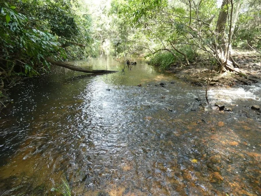 Additional image 21 of 1097 Blackman Gap Road, Colosseum QLD 4677