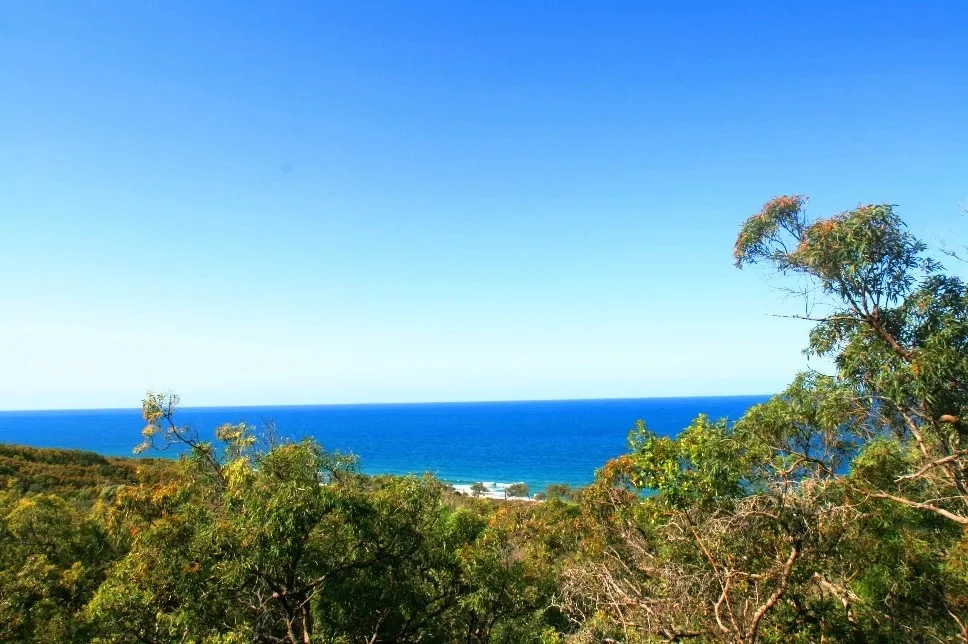 Additional image 4 of 93 Bloodwood Ave Street, Agnes Water QLD 4677