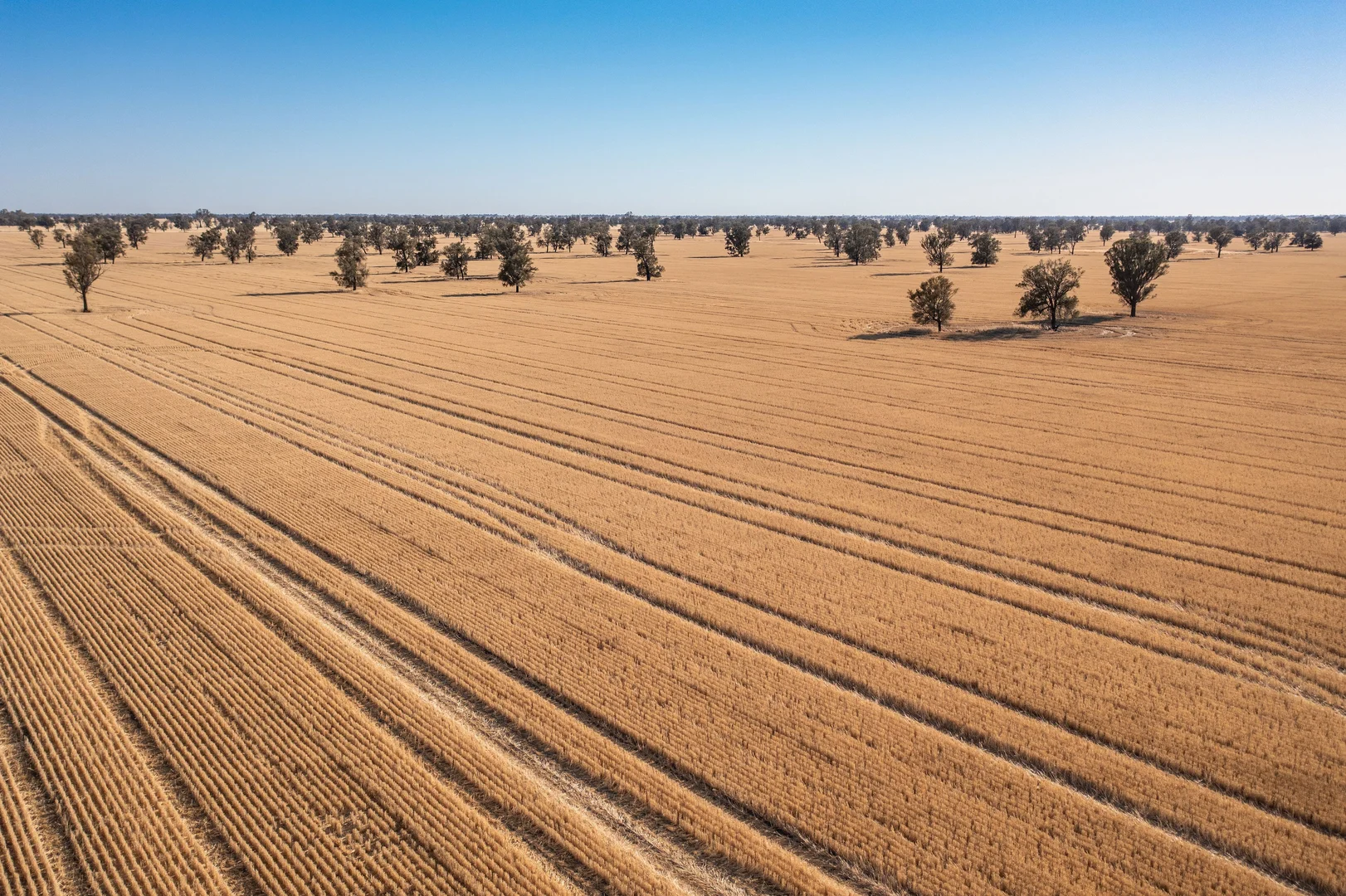 Additional image 3 of CA 37B & CA 38A Natimuk-Hamilton Road, Noradjuha VIC 3409