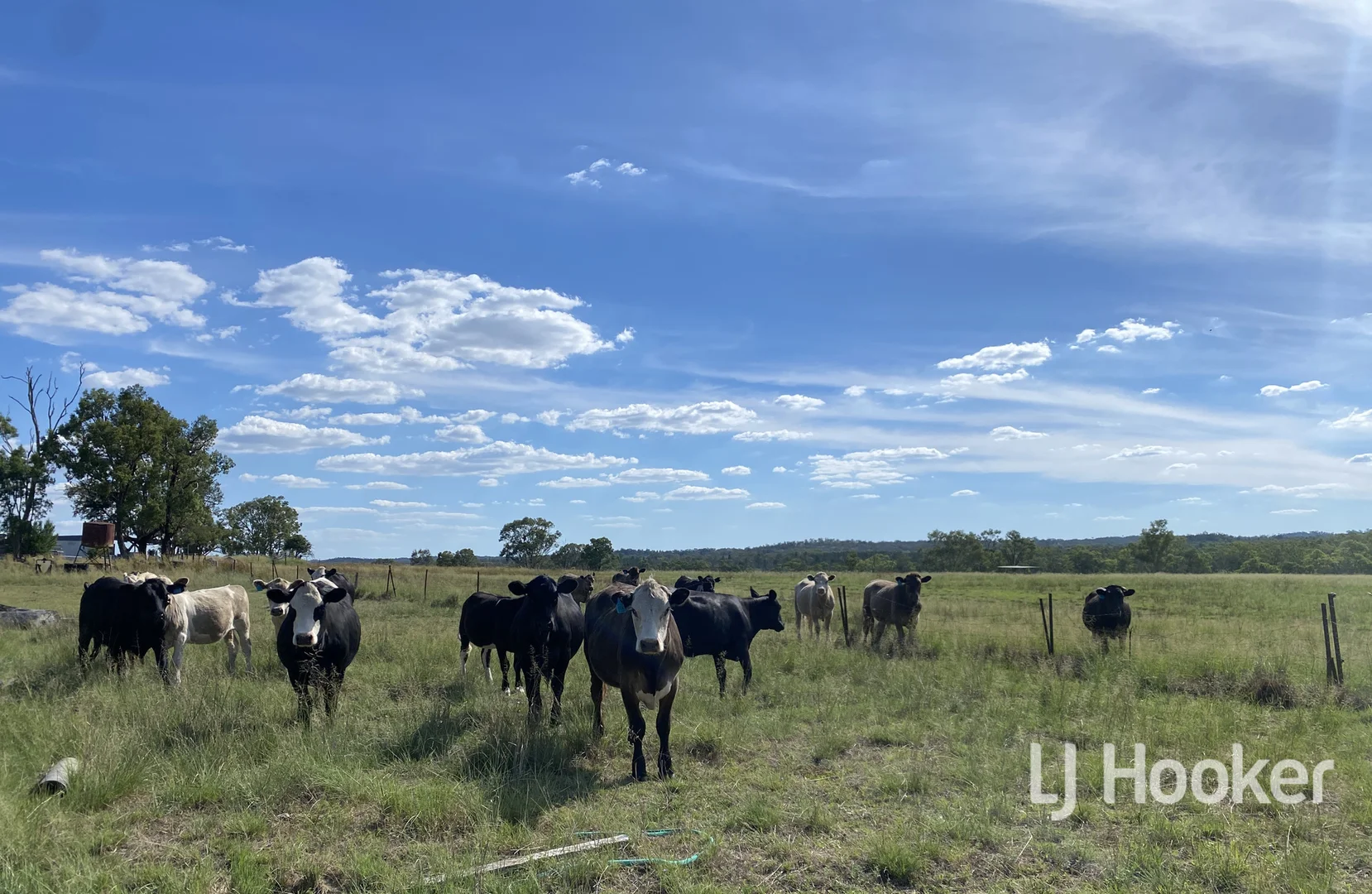 Additional image 10 of 1223 Karoola Road, Inverell NSW 2360