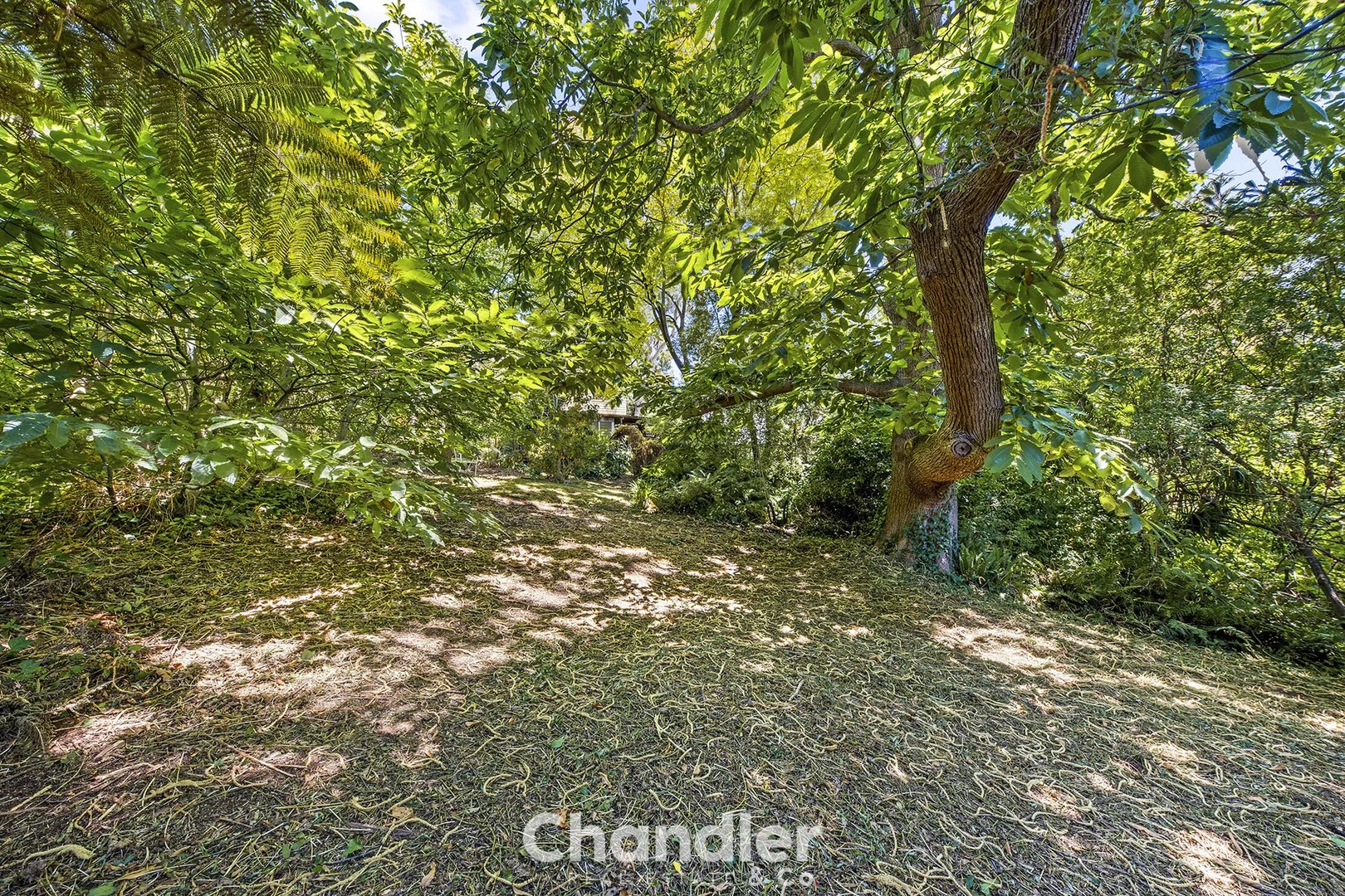 Additional image 12 of 7 Emberson Street, Kallista VIC 3791