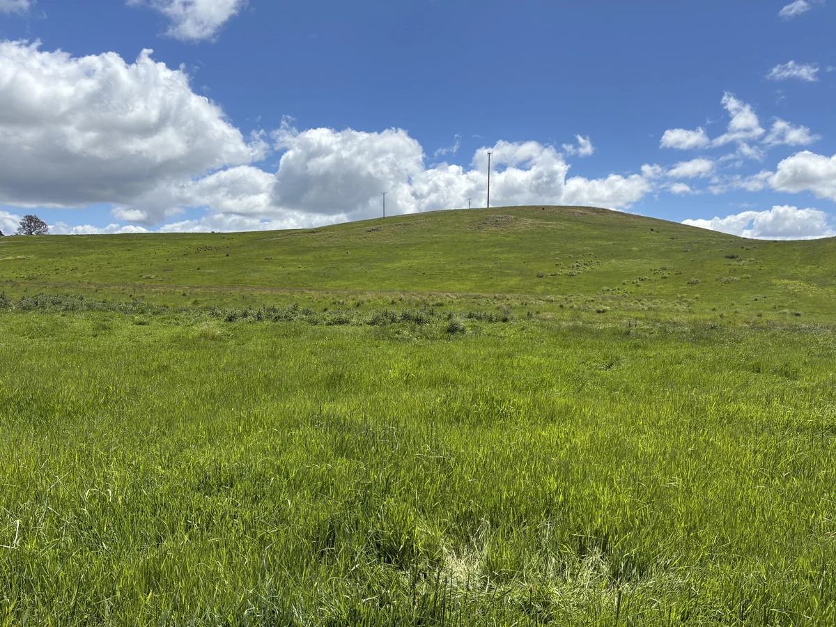 Additional image 18 of 1948 Nareen Road, Nareen VIC 3315
