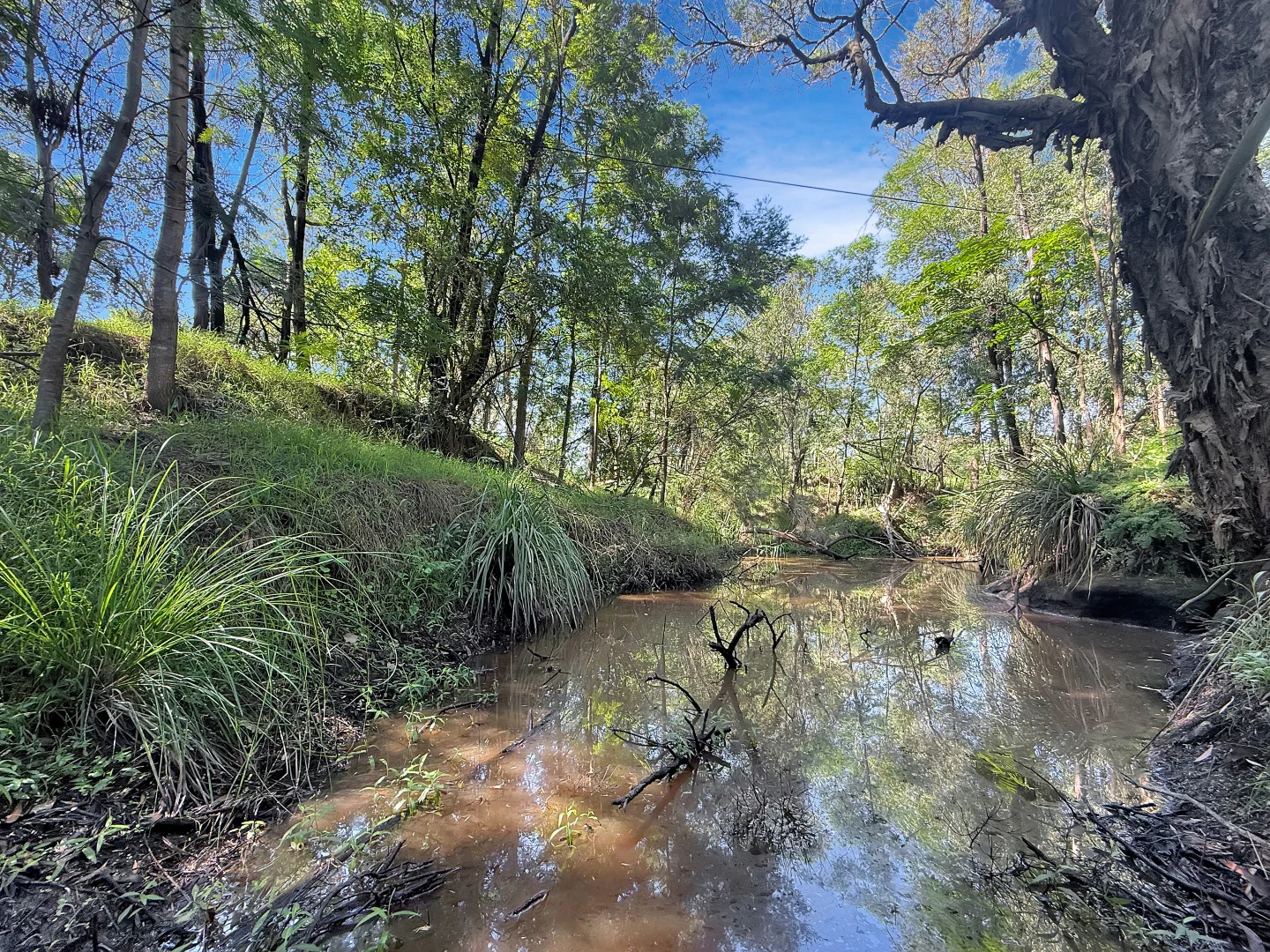 Additional image 21 of 61 Narone Creek Rd, Wollombi NSW 2325