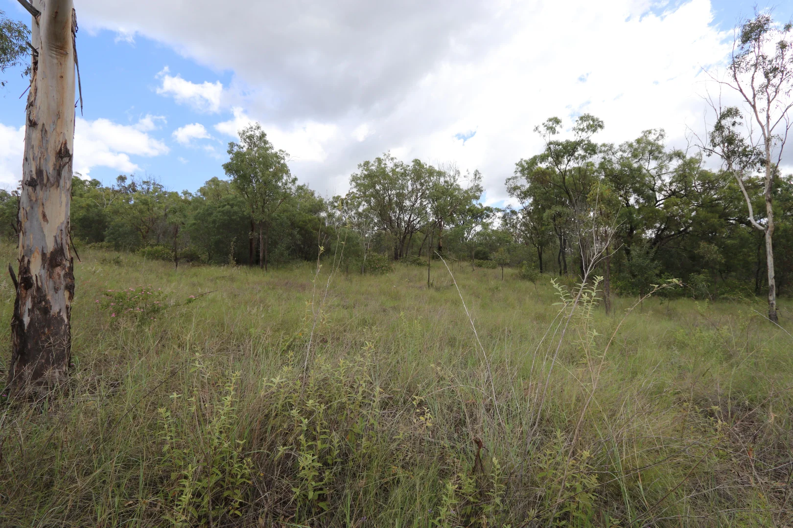Additional image 21 of 890 Boulder Creek Rd, Boulder Creek QLD 4714