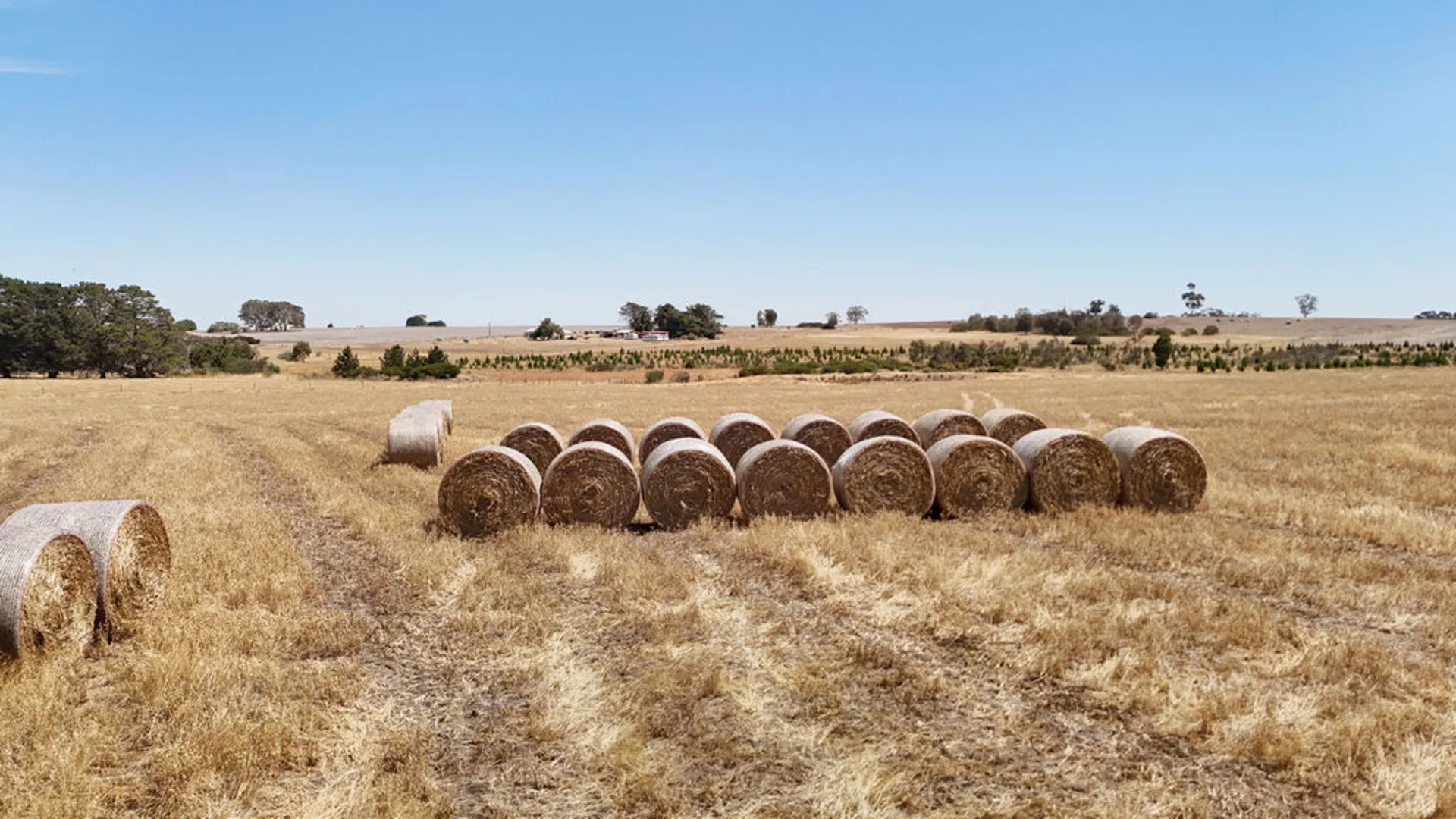Additional image 7 of 30 Ryans Road, Cape Clear VIC 3351