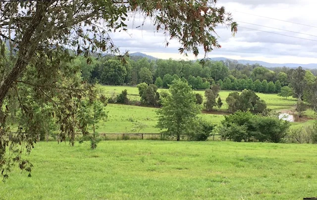 Additional image 6 of 1554 & 1598 Rollands Plains Road, Rollands Plains NSW 2441