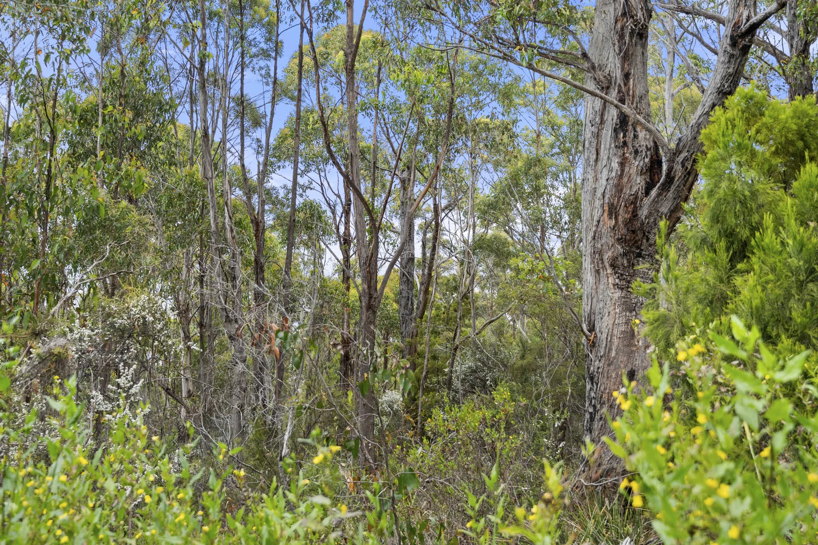 Additional image 16 of 5286 Channel Highway, Gordon TAS 7150