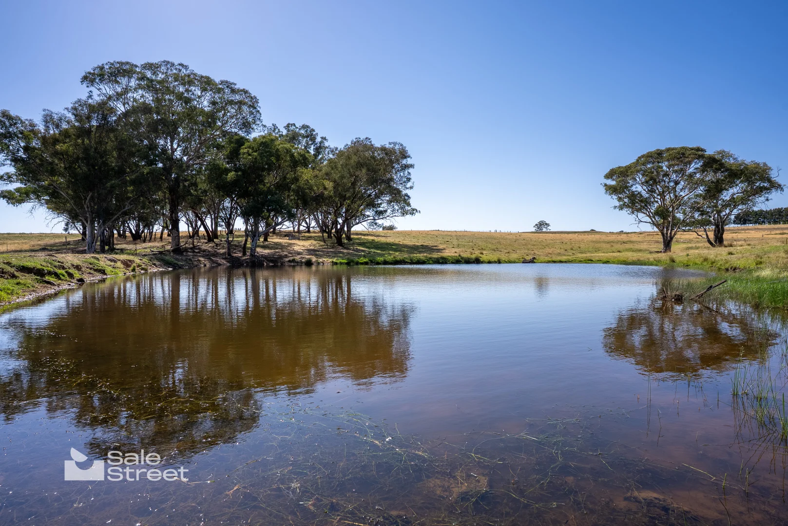 Additional image 37 of 90 Convent Lane, Borenore NSW 2800