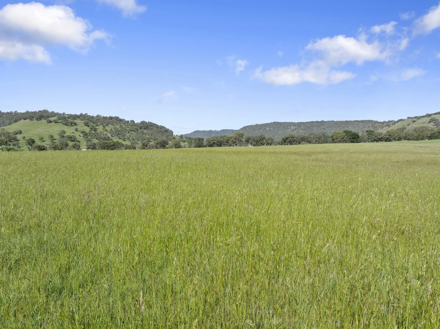 Additional image 2 of 1477 Mansfield-Whitfield Road, Bridge Creek VIC 3723