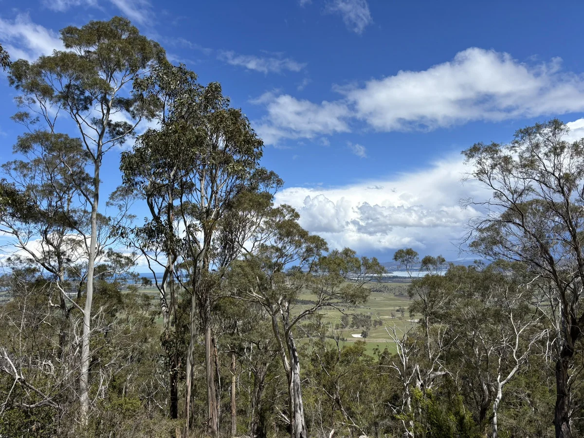 Additional image 17 of Leprena Road, Orielton TAS 7172
