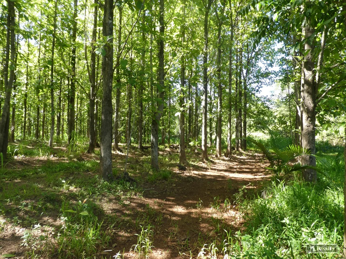 Additional image 5 of L 18 Camarlinghi Road, Daradgee QLD 4860