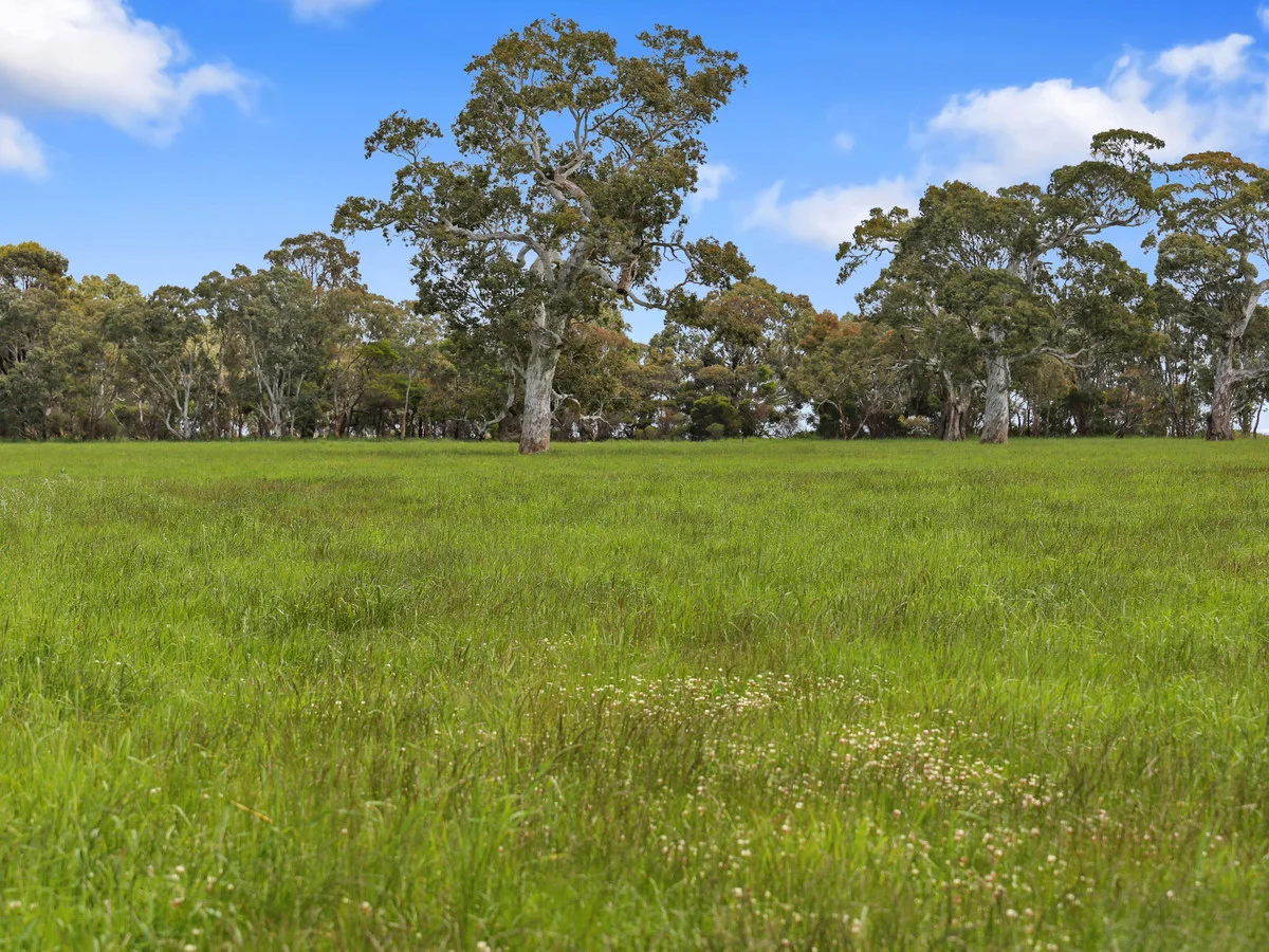Additional image 33 of 64 Ford Luers Road, Casterton VIC 3311