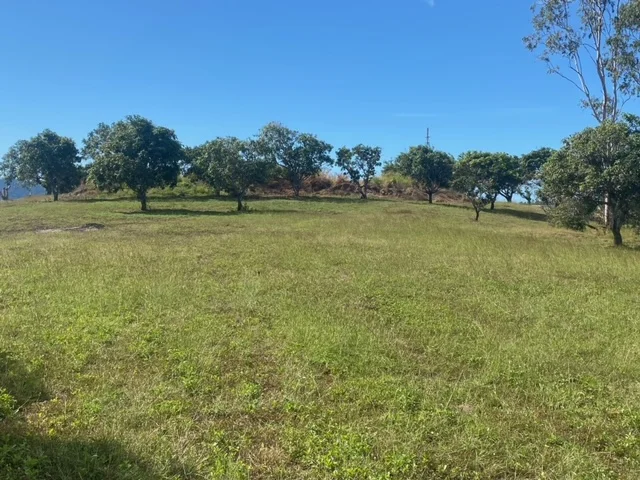 Additional image 3 of 63 Whitsunday Drive, Bloomsbury QLD 4799