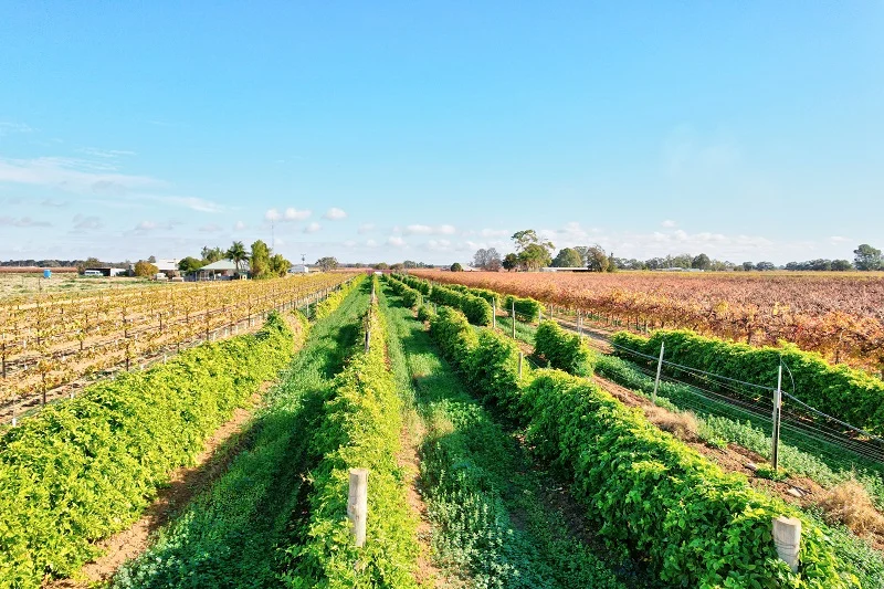 Additional image 15 of 232 Arnold Coats Road, Cobdogla SA 5346