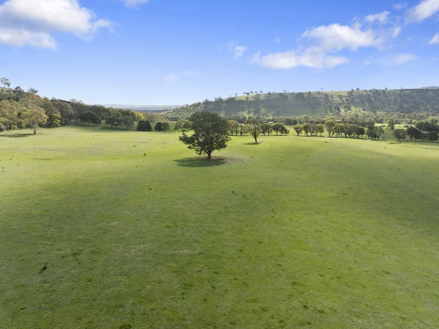 Additional image 6 of Mansfield VIC 3722