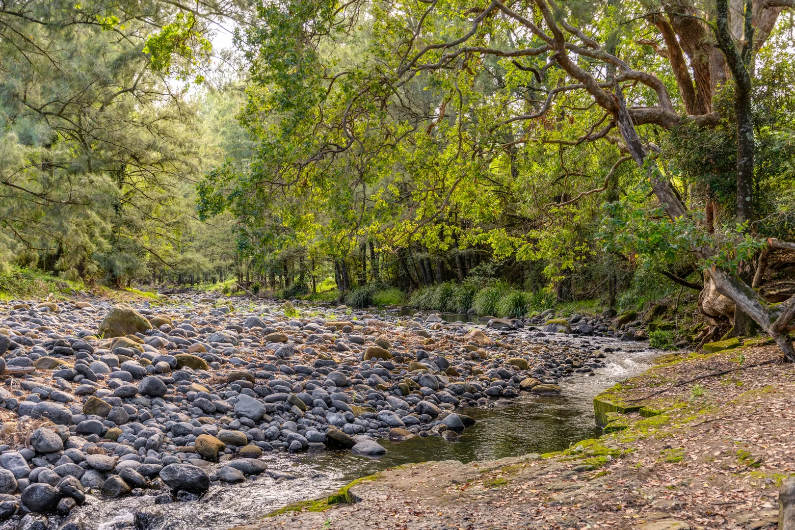 Additional image 8 of 1012 Boonabilla Road, Gresford NSW 2311