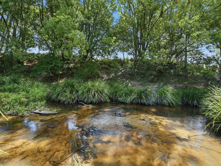 Additional image 3 of 431 Bucca Road, Bucca NSW 2450