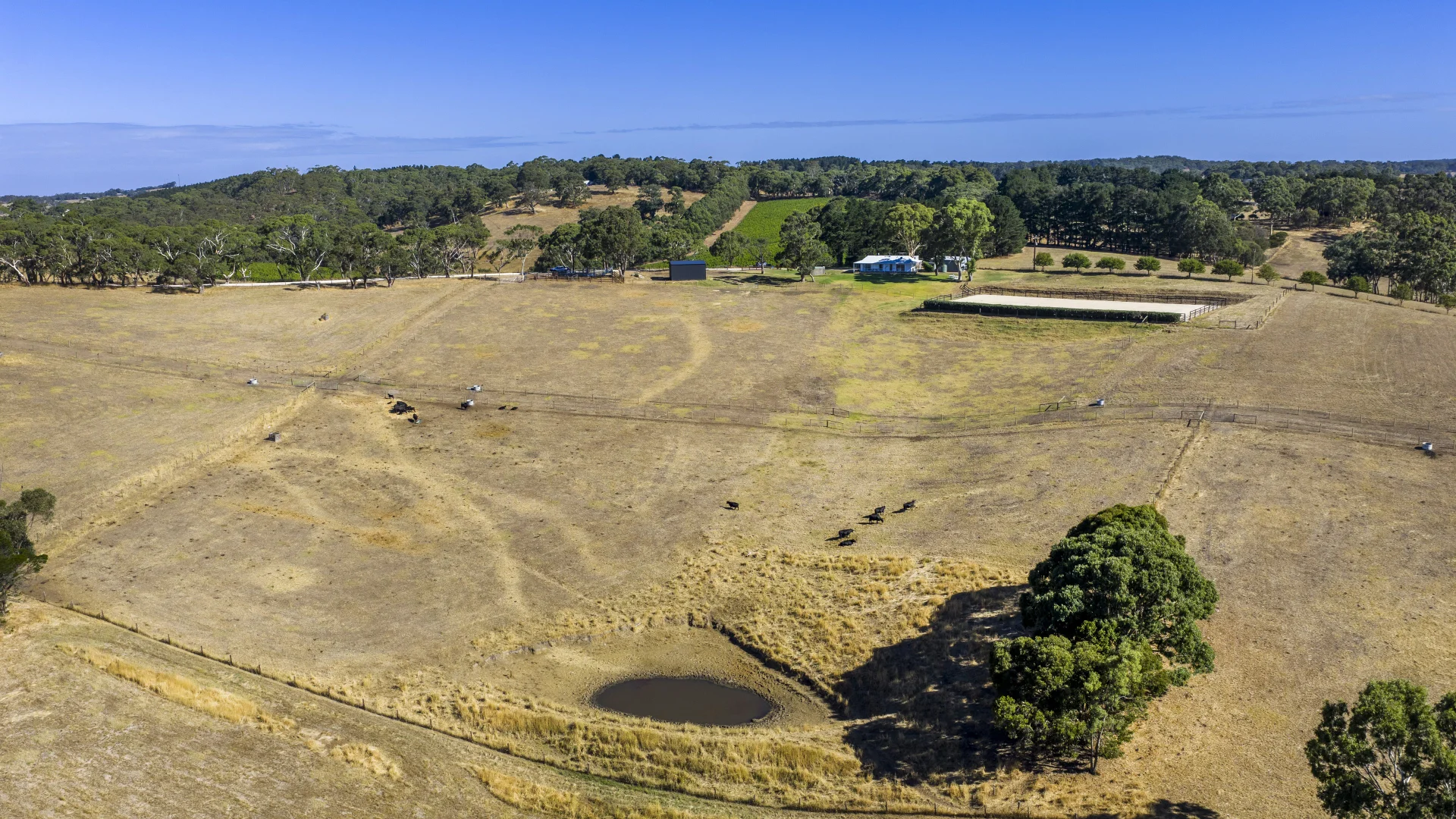 Additional image 31 of 224 Nicol Road, Meadows SA 5201