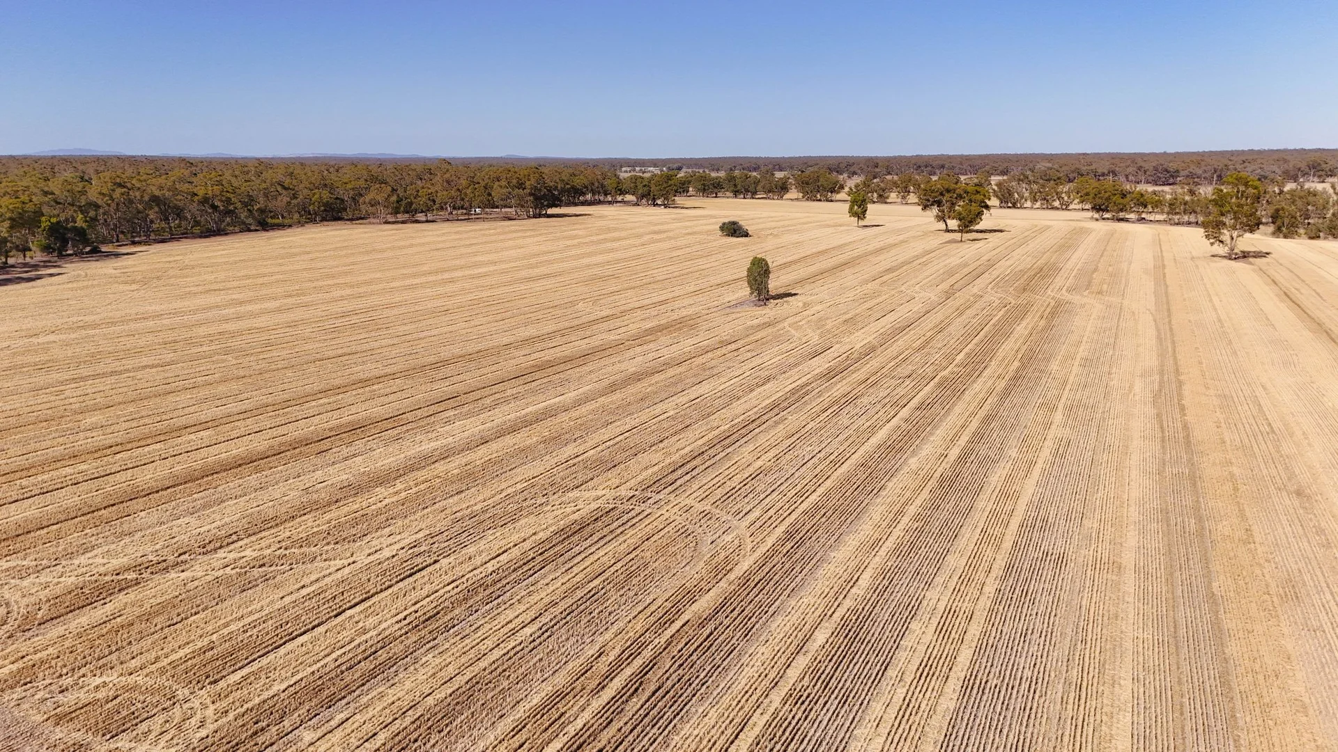 Additional image 5 of 99 Winzar Lane, Goornong VIC 3557