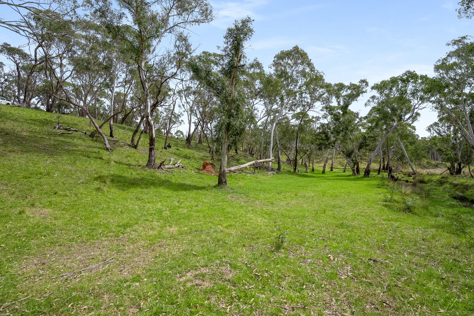 Additional image 8 of 4 Grandview Place, Portland NSW 2847