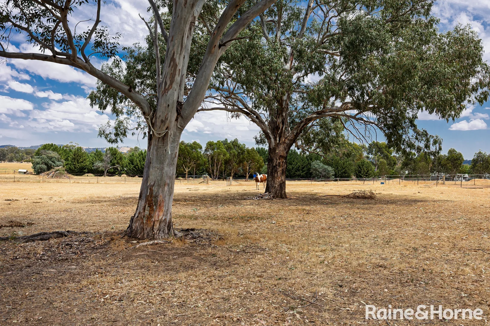 Additional image 20 of 44 Blackbutt Road, Lake Albert NSW 2650