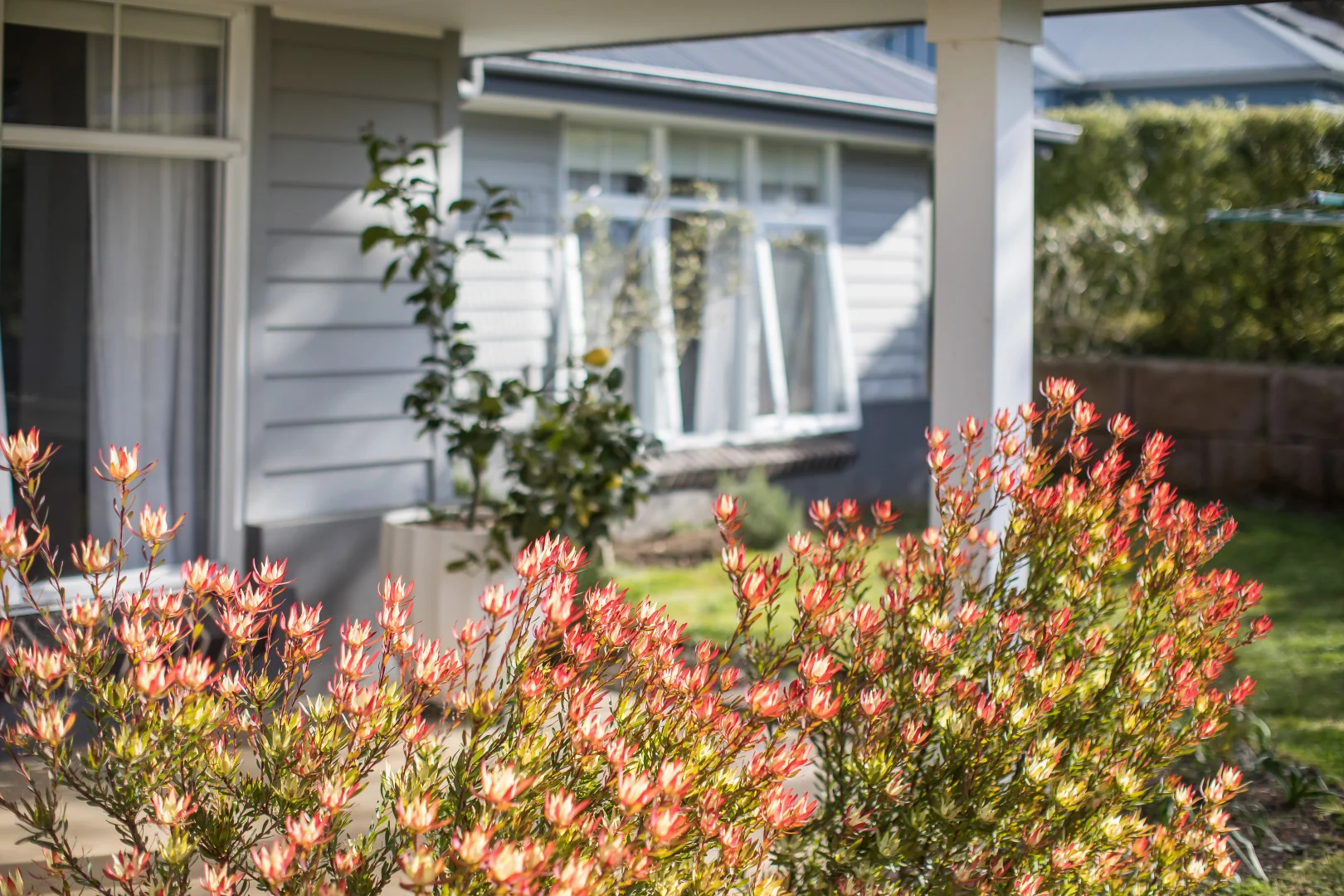 Additional image 19 of 1 Lindsay Road, Moss Vale NSW 2577