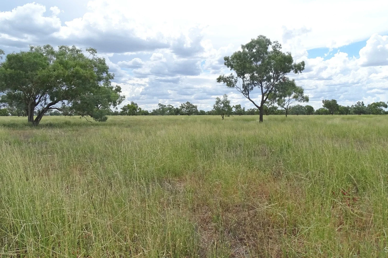 Additional image 8 of 645 Kamilaroi Highway, Bourke NSW 2840