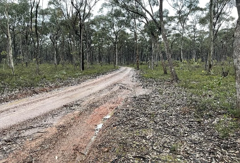 Additional image 5 of _ CA's 32, 33A, 34 & Lot 1 Off Gunyah Track, Wellsford VIC 3551