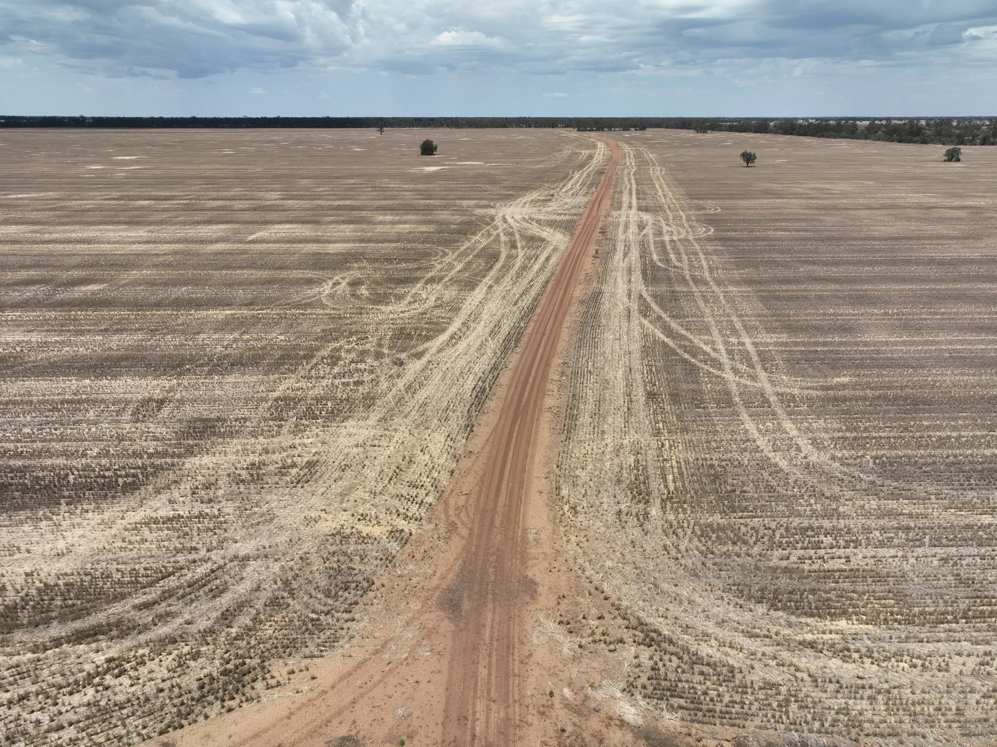 Additional image 5 of 'The Pines' 211 Dicks Camp Road, Collie NSW 2827