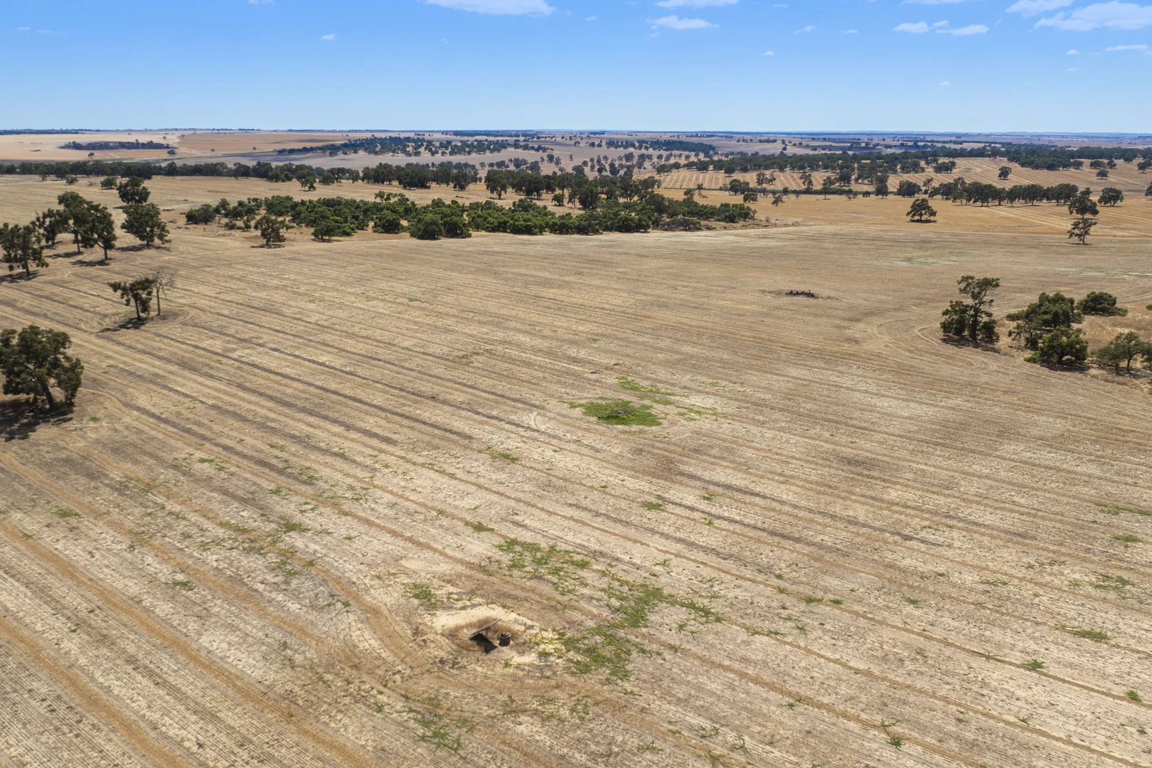 Additional image 31 of 1830 Rowes Road, Dandaragan WA 6507