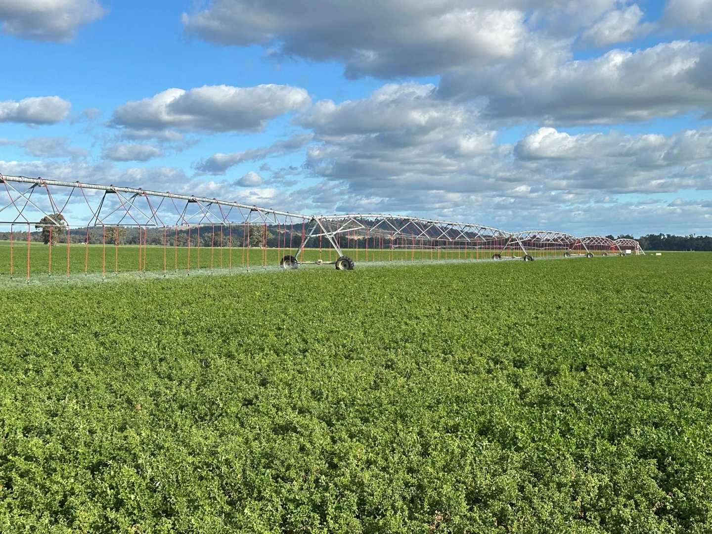 929 Old Narrandera Road, Wagga Wagga NSW 2650