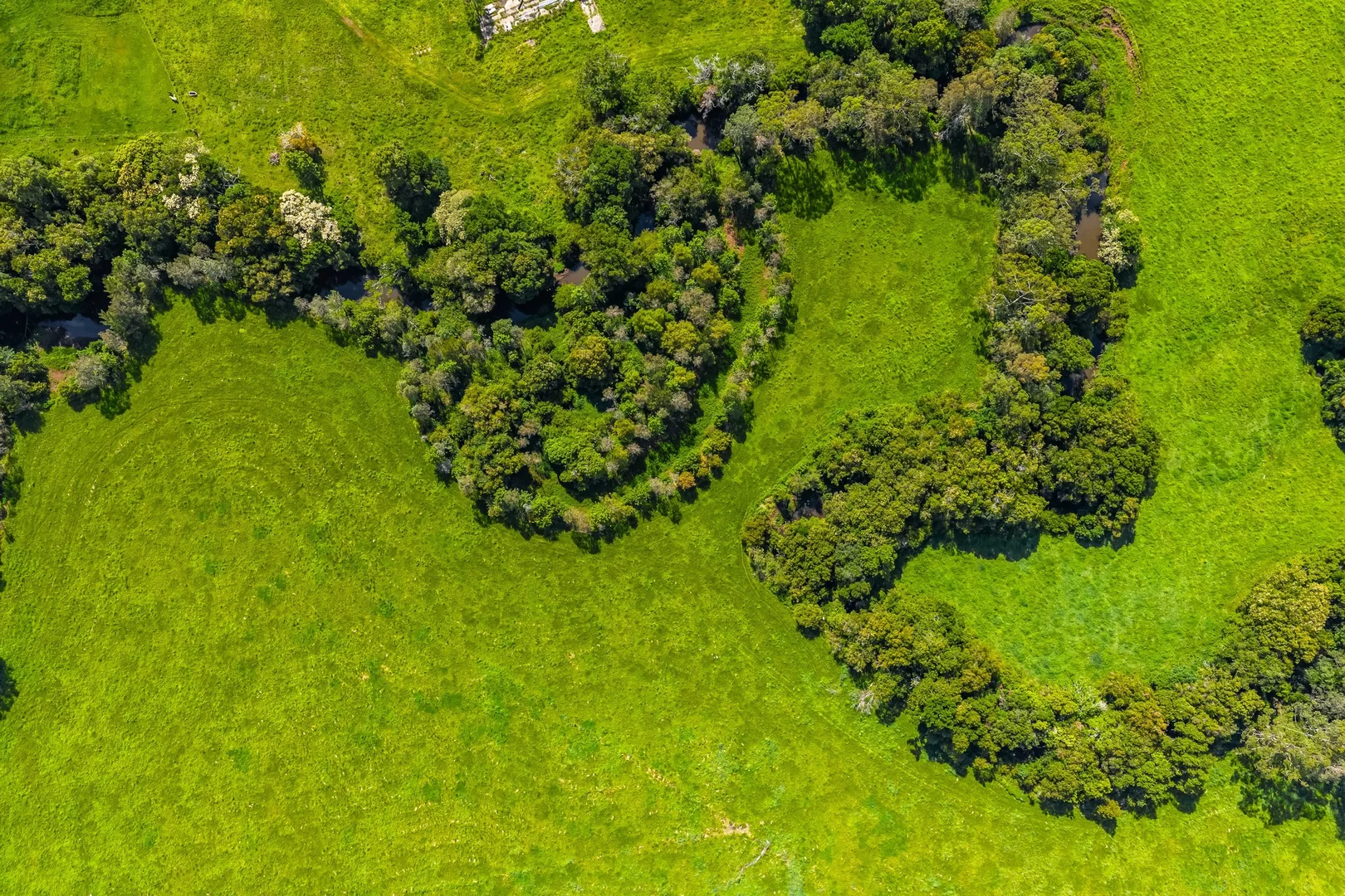 Additional image 41 of 1368 Wyrallah road, Tucki Tucki NSW 2480