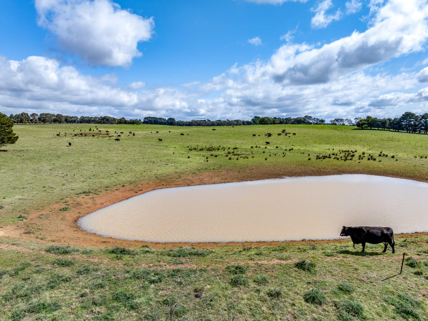Additional image 3 of 85/1182 Yalbraith Road, Taralga NSW 2580