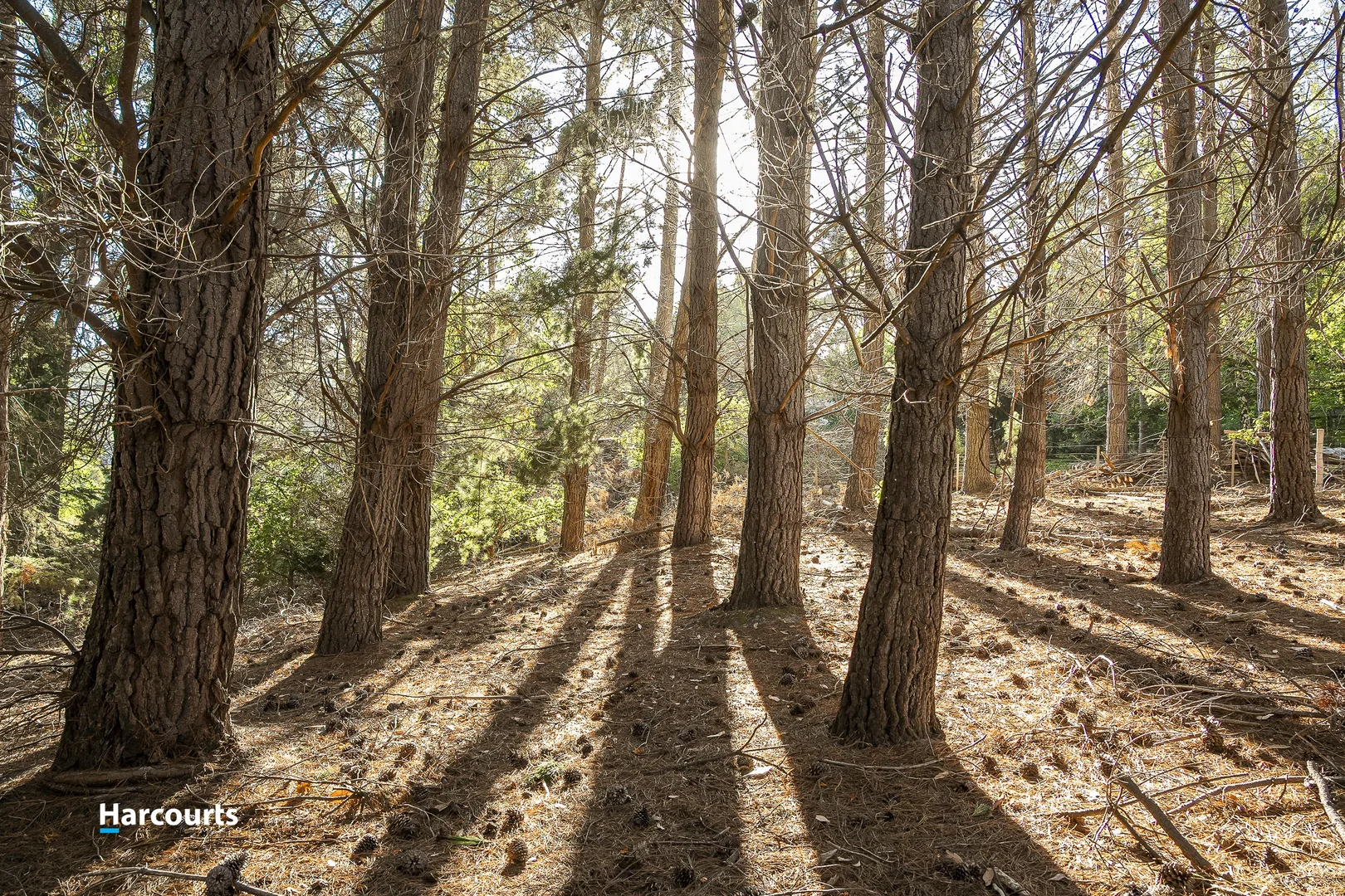 Additional image 8 of 38 Autumn Road, Cradoc TAS 7109