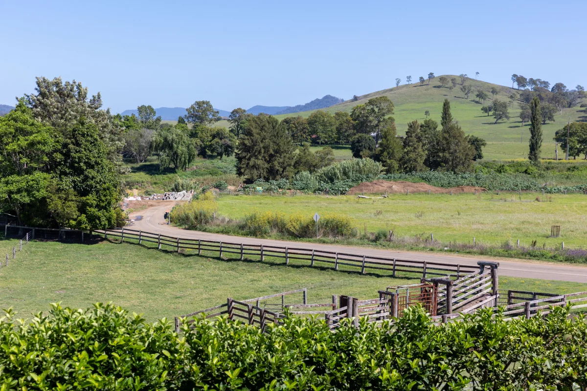 Additional image 27 of 363 Aberglasslyn Road, Aberglasslyn NSW 2320