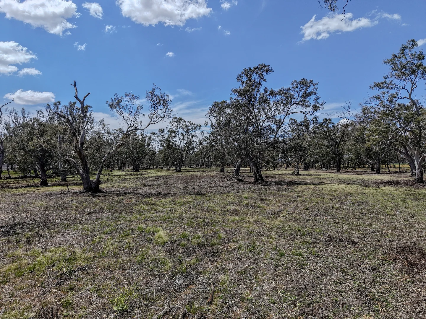 Additional image 3 of 1359 Saddleback Road, Forbes NSW 2871