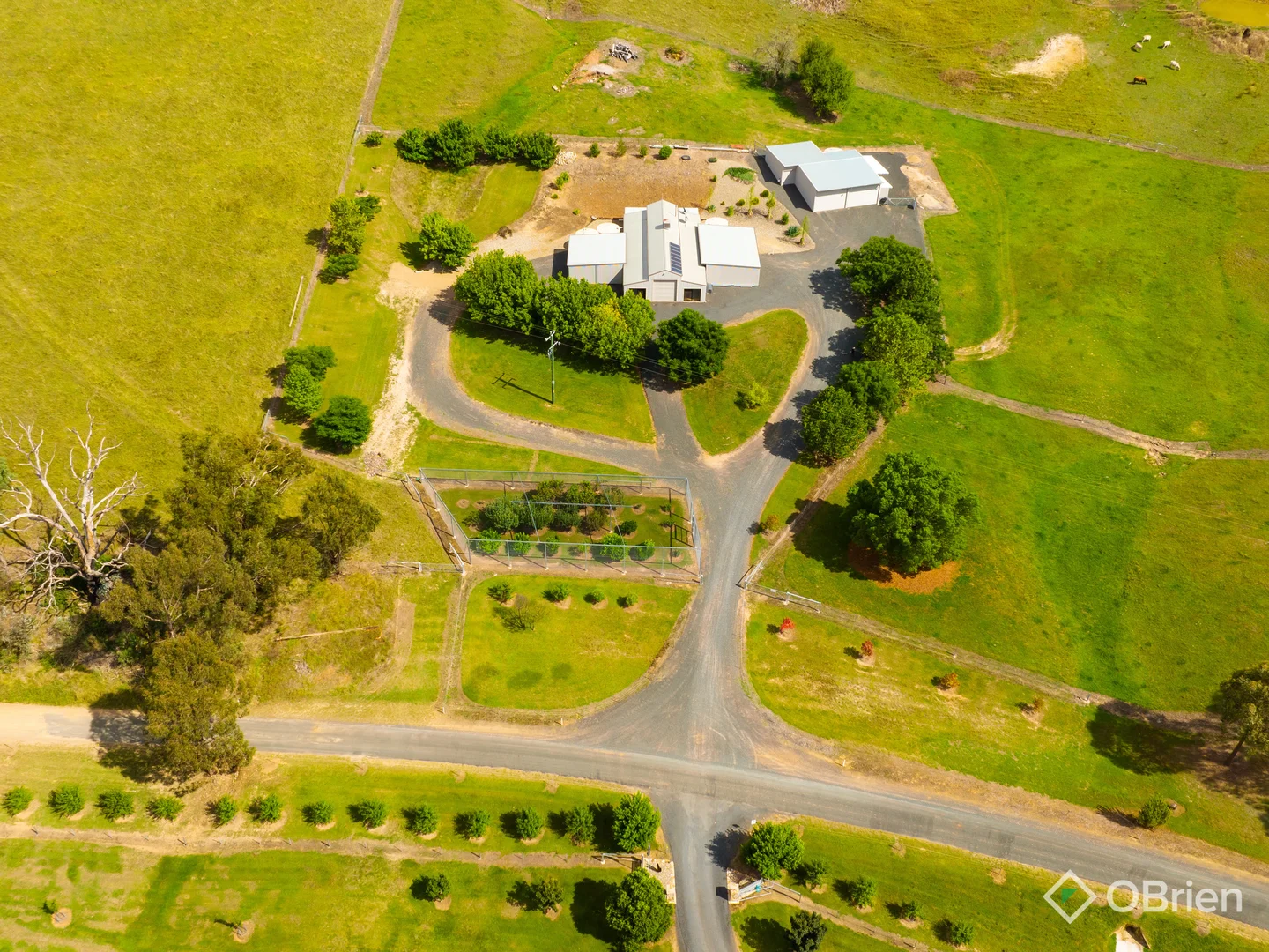 Additional image 43 of 4099 River Road, Jingellic NSW 2642